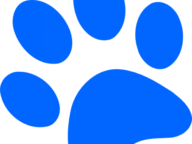 Cougar Paw Clipart - Circle (640x480)