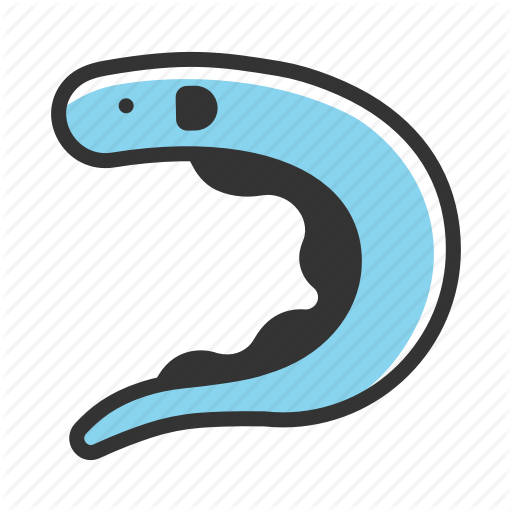 Eels Clipart Eel Fish - Eel (512x512)