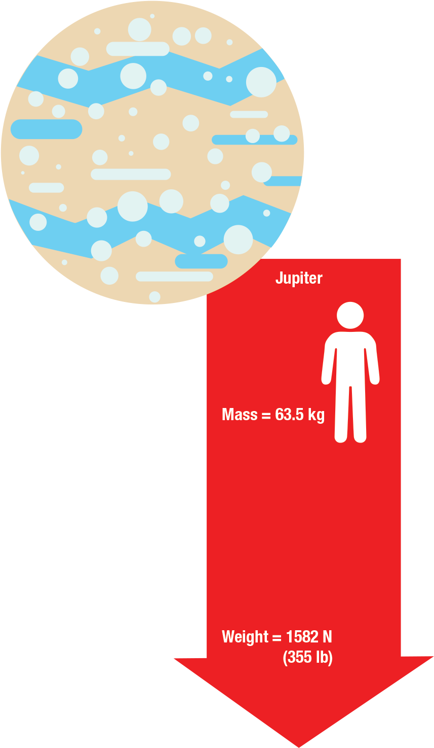 Weight (878x1557)