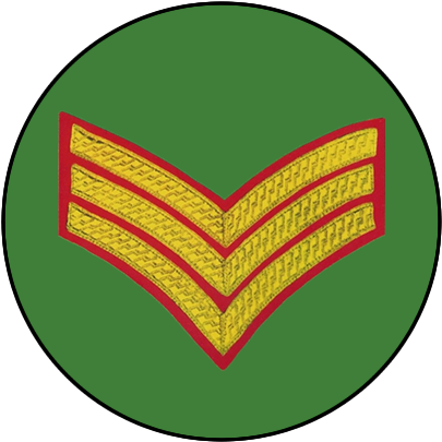 Additional Options - Health Care Logistics - Thu 3/4in Circle Label Green (600x404)