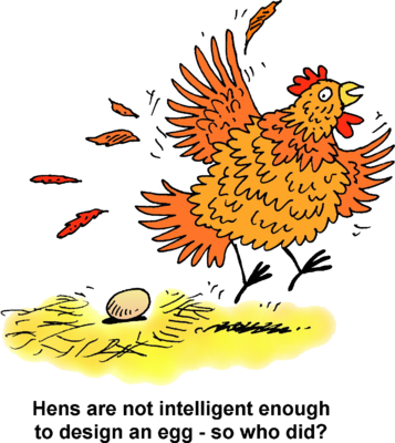 Design An Egg - Chicken (357x400)