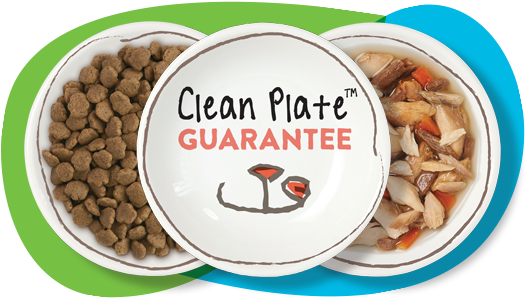 So Delicious - Muse By Purina Natural Grain Free Pate Wet Cat Food (526x305)