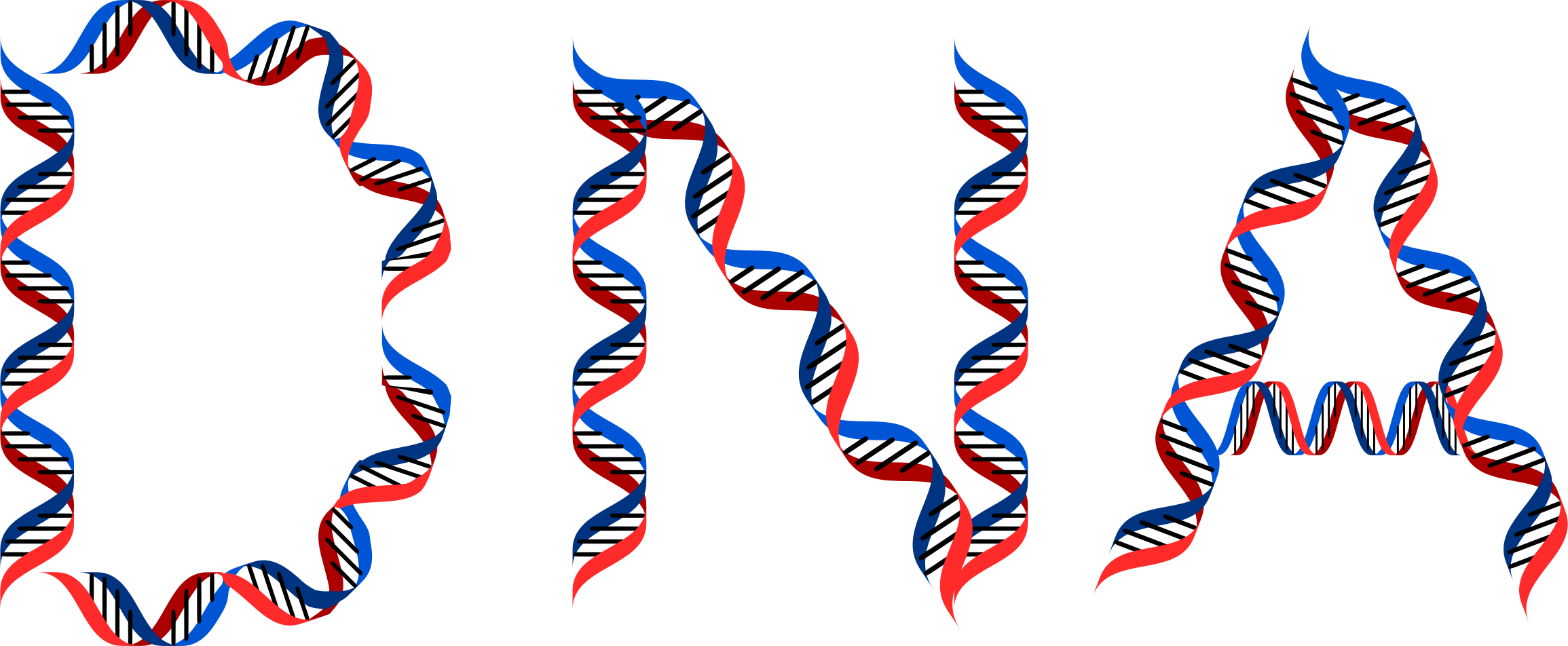 Dna Typography - Dna Typography (2310x952)