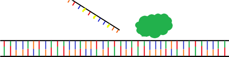 Printable Ring Sizer (944x459)