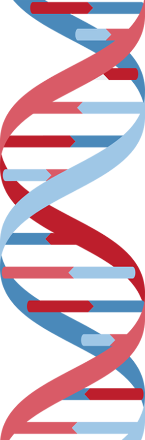 Peopleticker A Neutral Data Source - Dna Infographic (295x894)