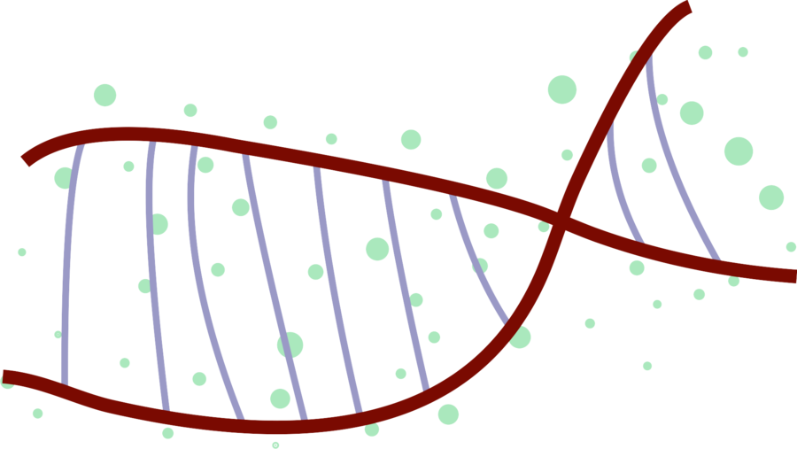 Dna Vector By Lekadema - Circle (900x507)