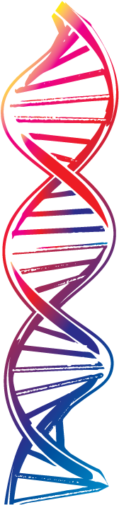 Services - Transparent Background Dna Png (208x736)