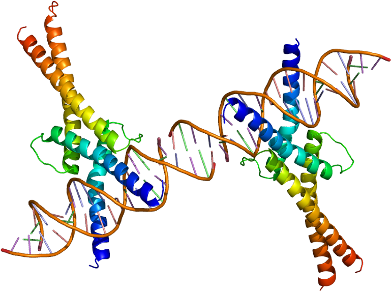 Housekeeping Genes (818x621)
