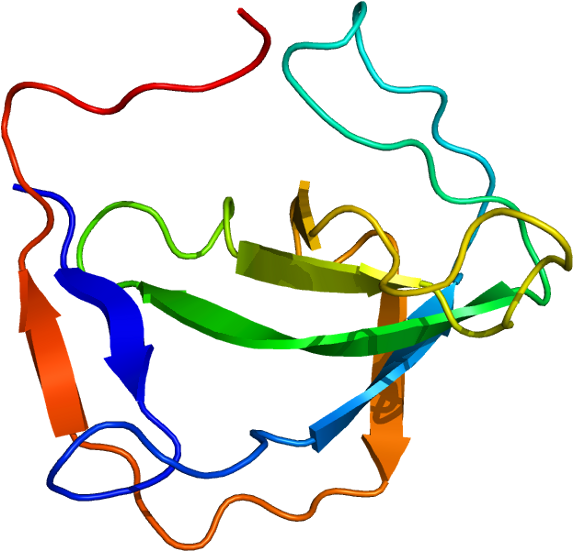 Melanoma (622x600)