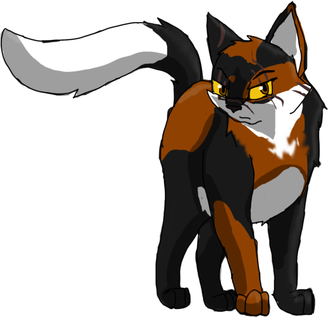 Mapleshade By Thewolfpack15-d5wvofz - Maple Shade Cat (1024x683)