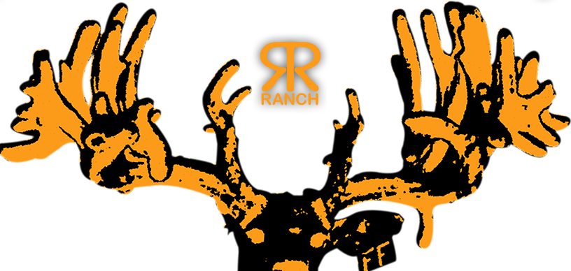 Rr Ranch Rr Ranch - Ranch (816x388)