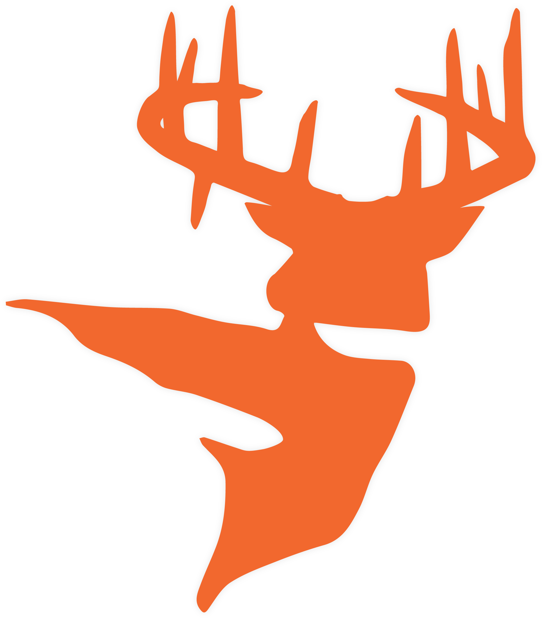 Deer (2500x2500)