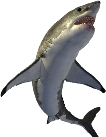 Shark - Sea Monsters A Prehistoric Adventure (600x450)