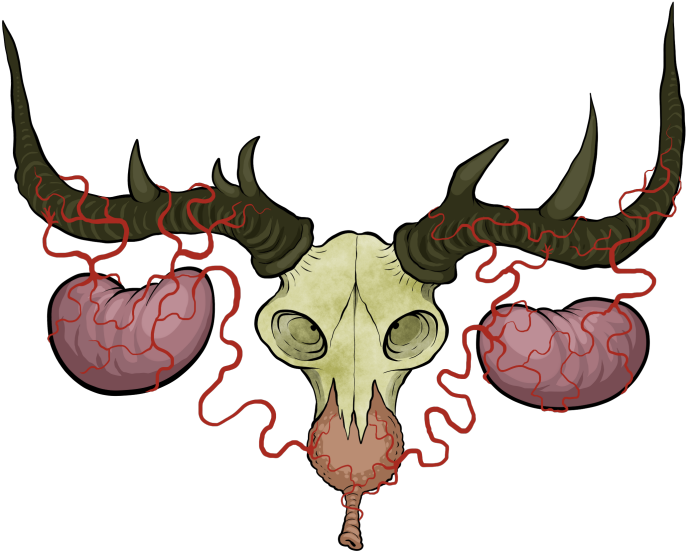 Urine Homunculus - Skull (700x573)