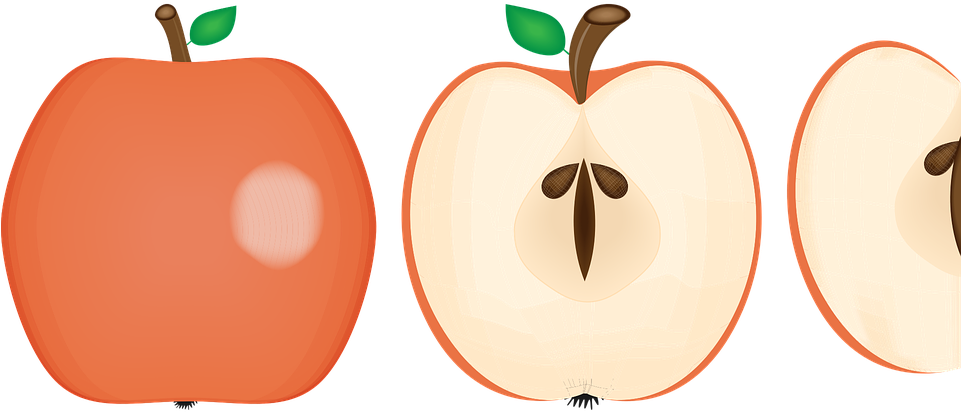 Healthy Eating Clipart - Σκιτσα Για Υγιεινη Διατροφη (960x480)