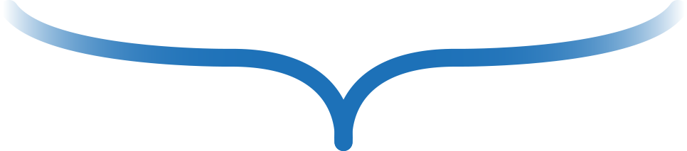 Brackett - Brackett (966x213)