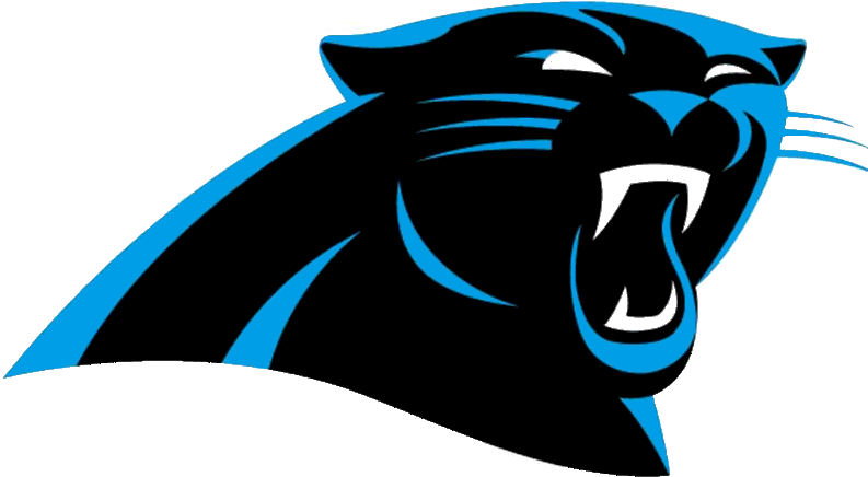 Carolina Panthers Socks - Panthers Nfl (800x513)