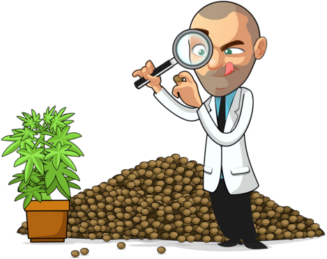 Cannabis (480x480)