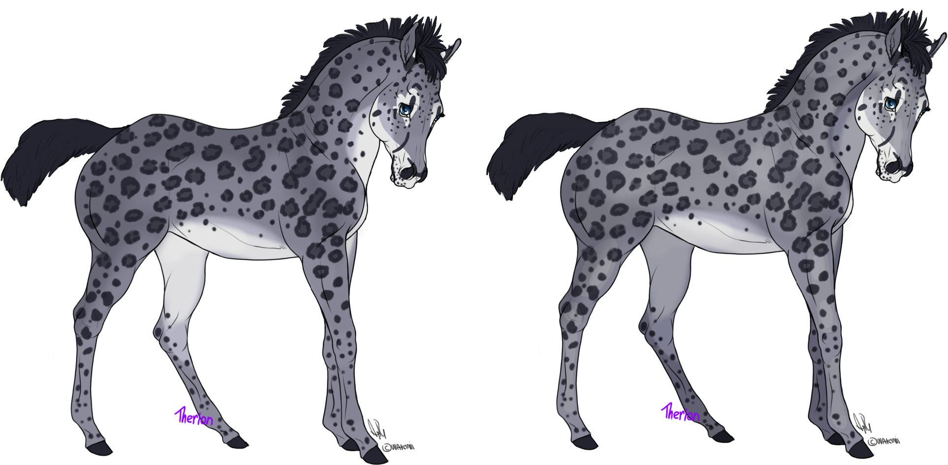 Crystal (sold) - Foal (2000x1000)