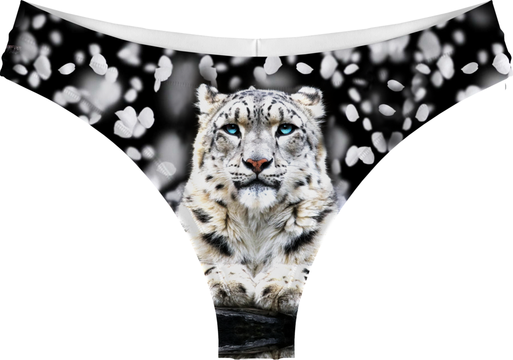 Snow - Marwell Wildlife (1024x718)