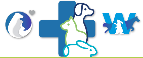 Logo Design - Design (550x226)