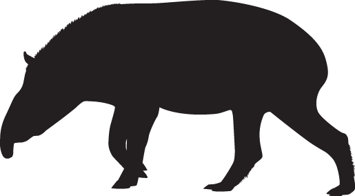 Middlelogo - Middlelogo (515x284)