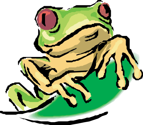 Rain Forest - Red Eyed Tree Frog (489x428)