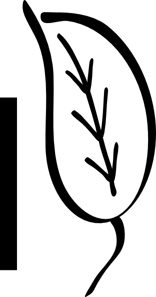 Leave Black (312x592)