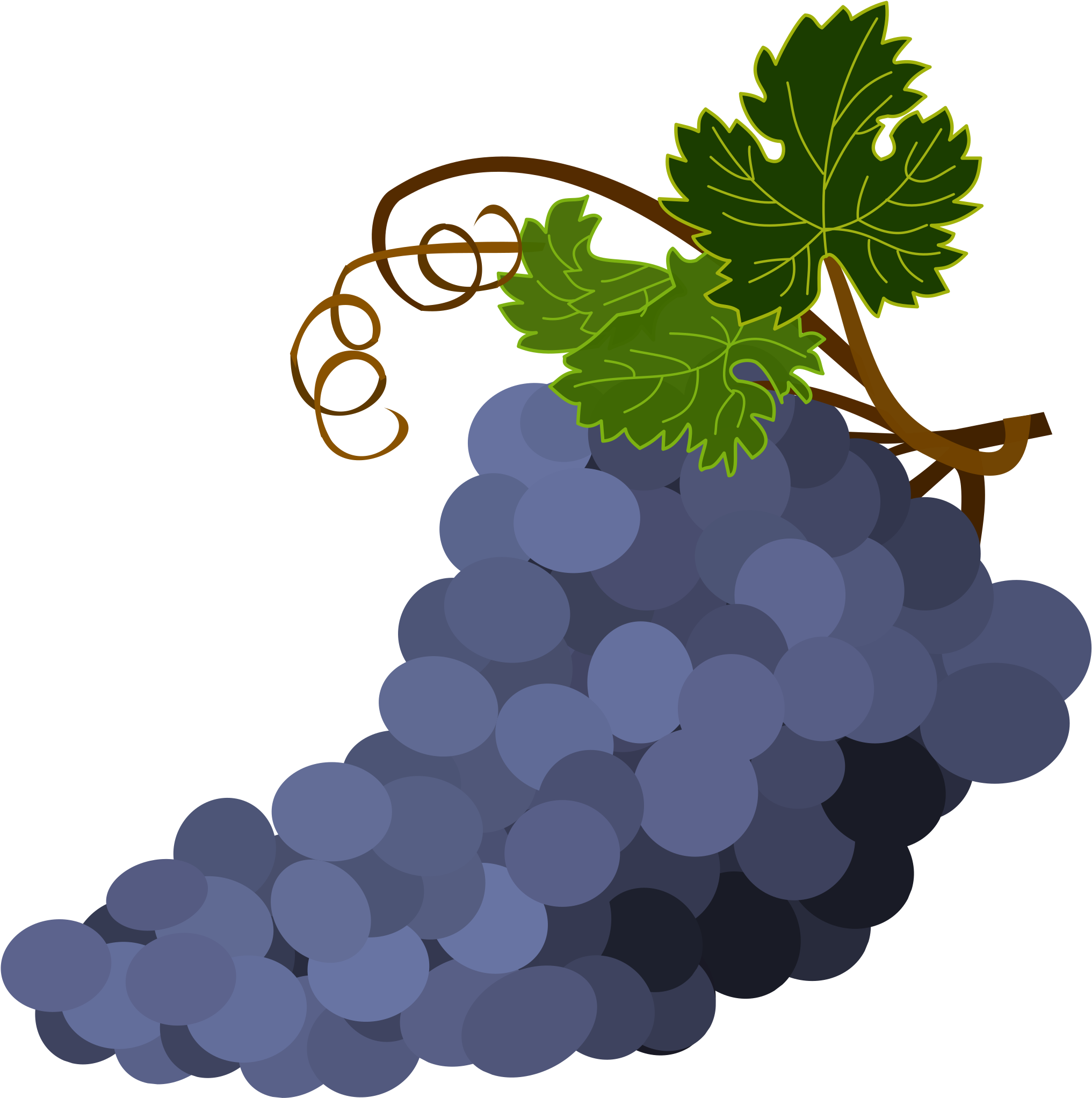 Big Image - Grap3s Clipart (2400x2400)