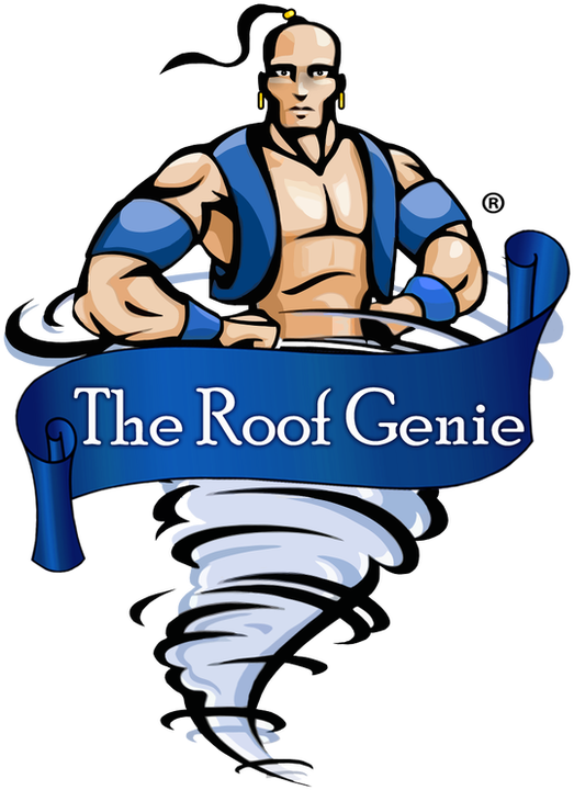 Picture - Roof (593x776)