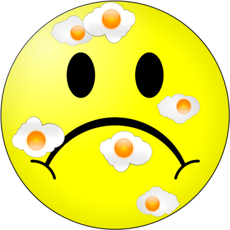 Egg On My Face (800x800)