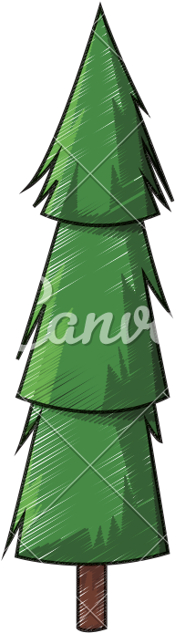Cartoon Pine Tree Illustration - Trunk (800x800)