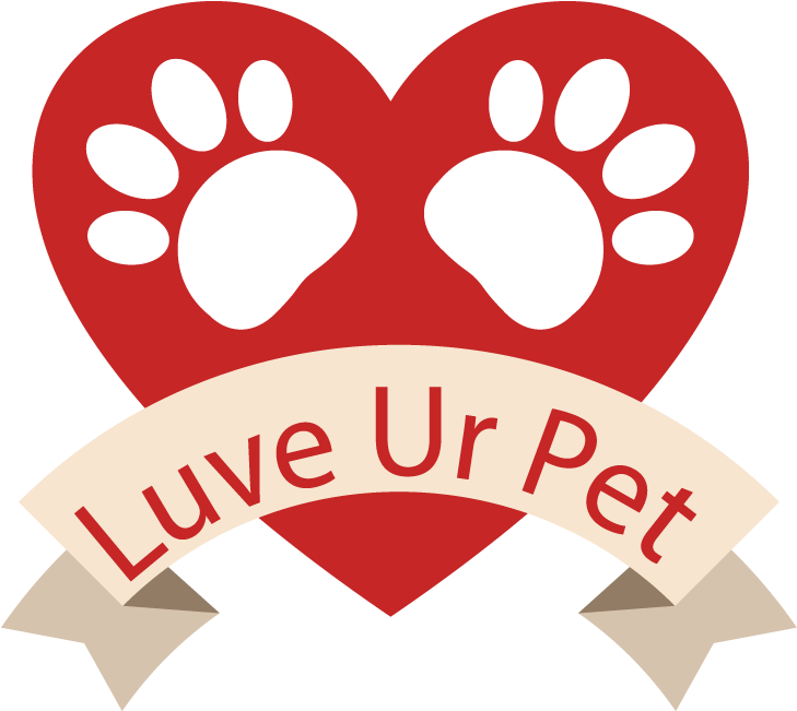 Pet (800x800)