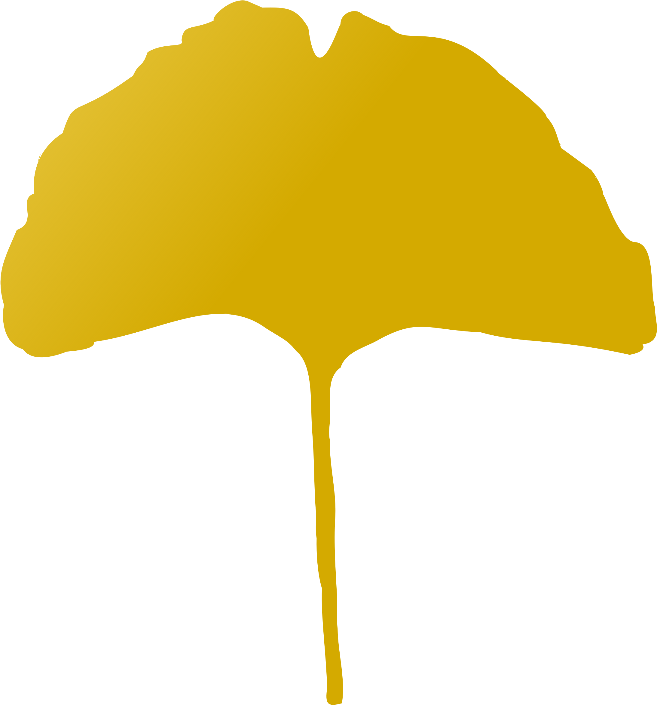 Big Image - Maidenhair Tree (2217x2400)