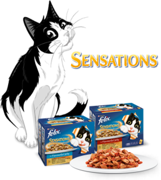 Felix Sensations (578x600)