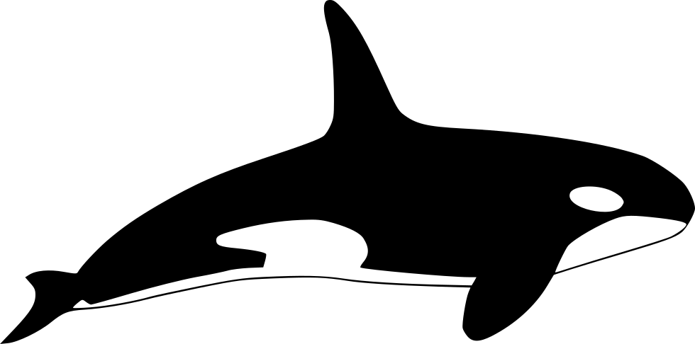 Orca Comments - Orca Icon Png (980x486)