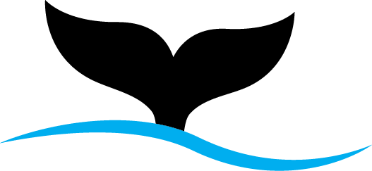 Orca Recruitment - Orca Recruitment (527x243)