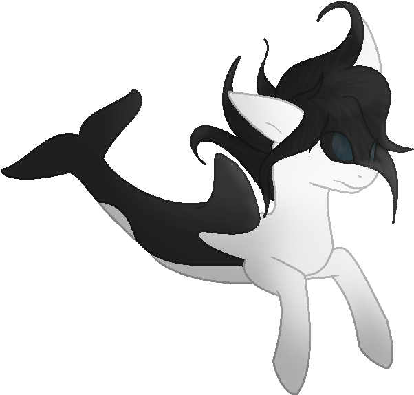 Orca Pony Adopt - Illustration (816x612)