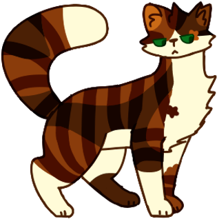 Tawnypaw Apprentice Thunderclan Warrior Shadowclan - Cartoon (400x339)
