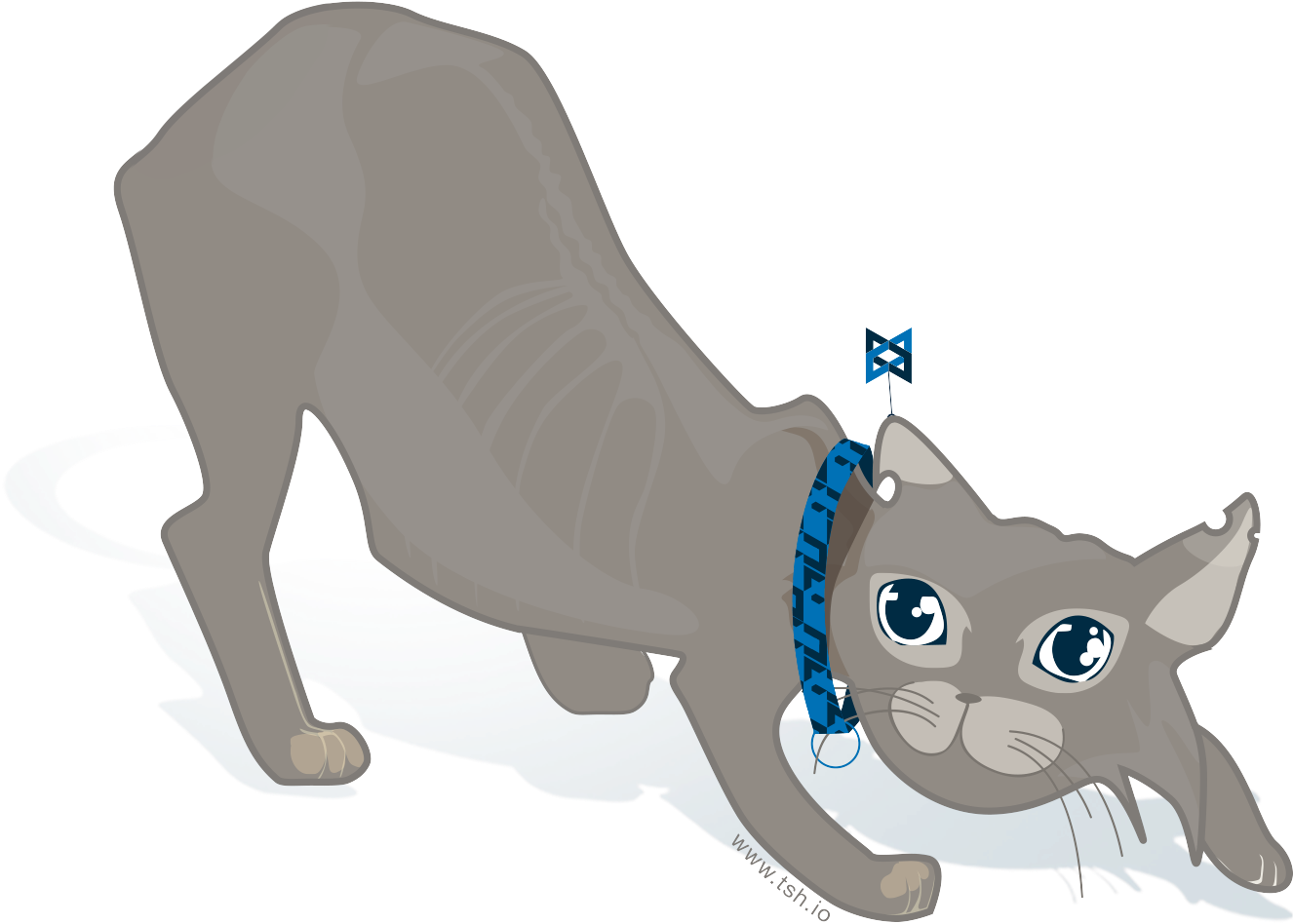 Backbone Cat's Tail Backbone Cat - Cat (1360x1374)