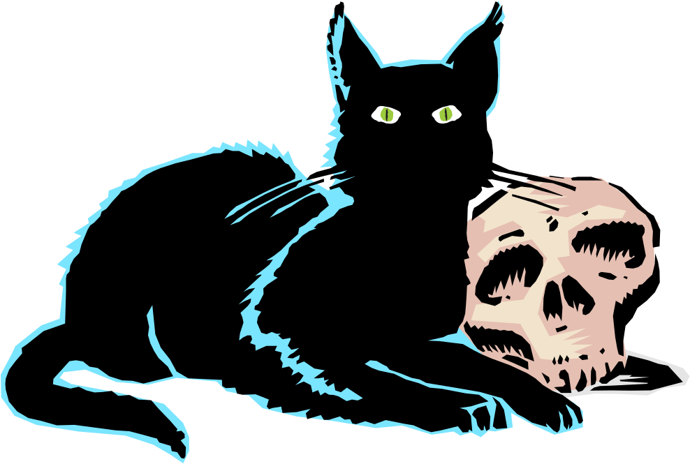 Evil Black Cat - Cat (1042x700)