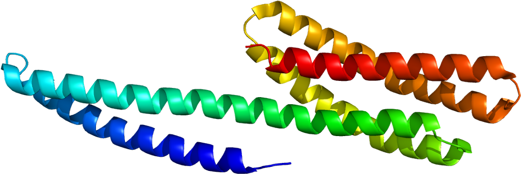 Clip Art (1080x393)