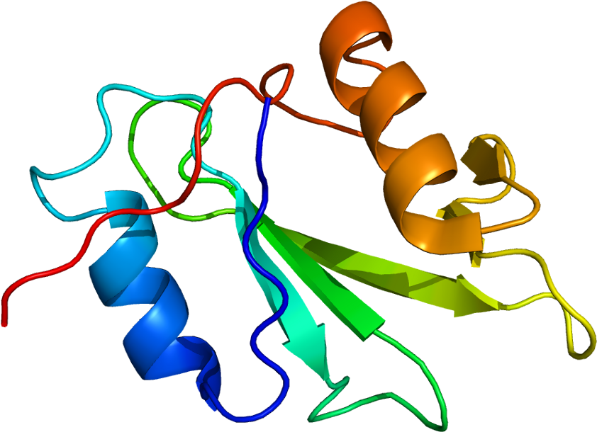 Ptk6 (891x659)