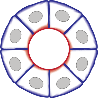 Multicellular - Farmatrust Ico (390x389)