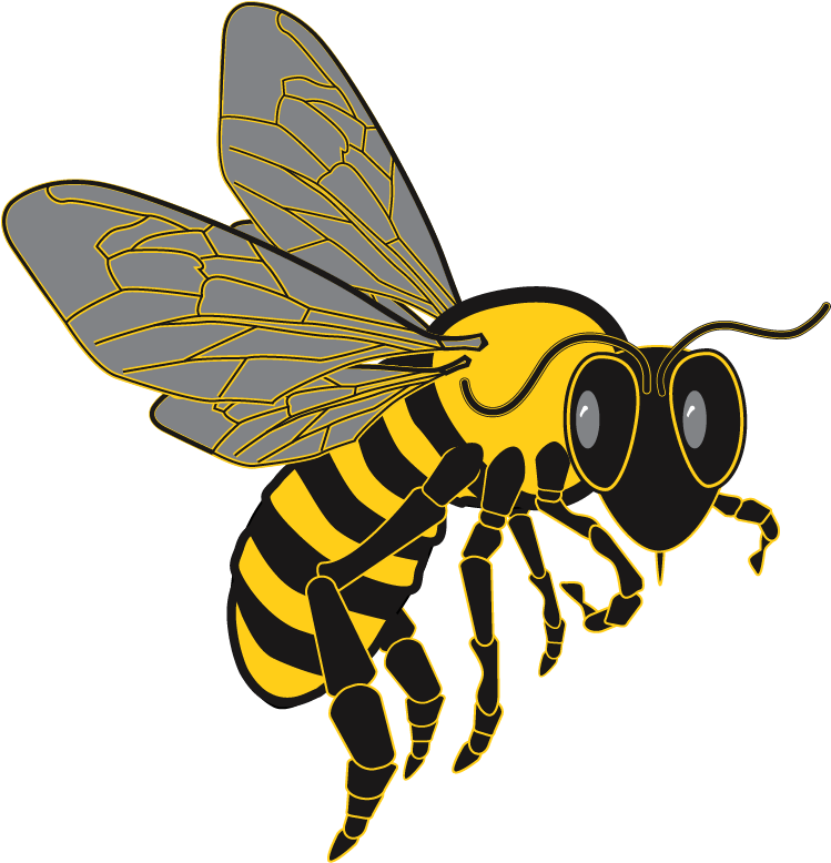Bee Graphic From Clip Art Package - Killer Bee Transparent Background (900x900)