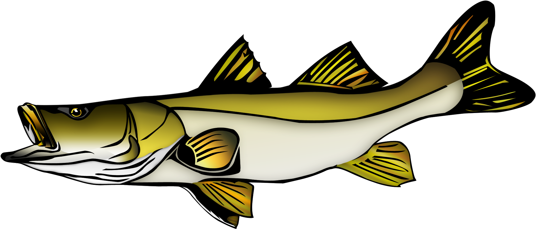 Snook Vector (2232x1100)