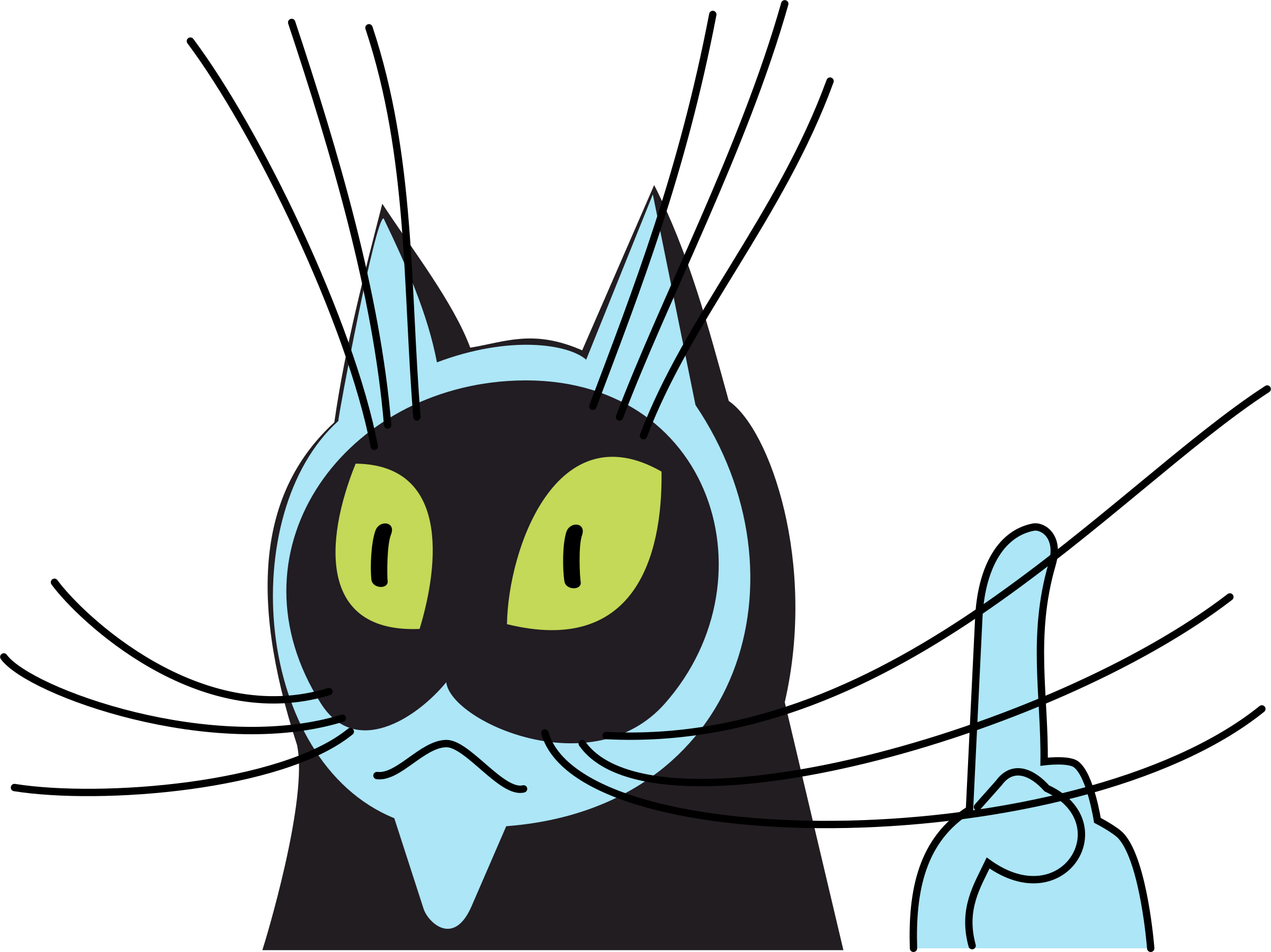 Big Image - Cat (2400x1797)