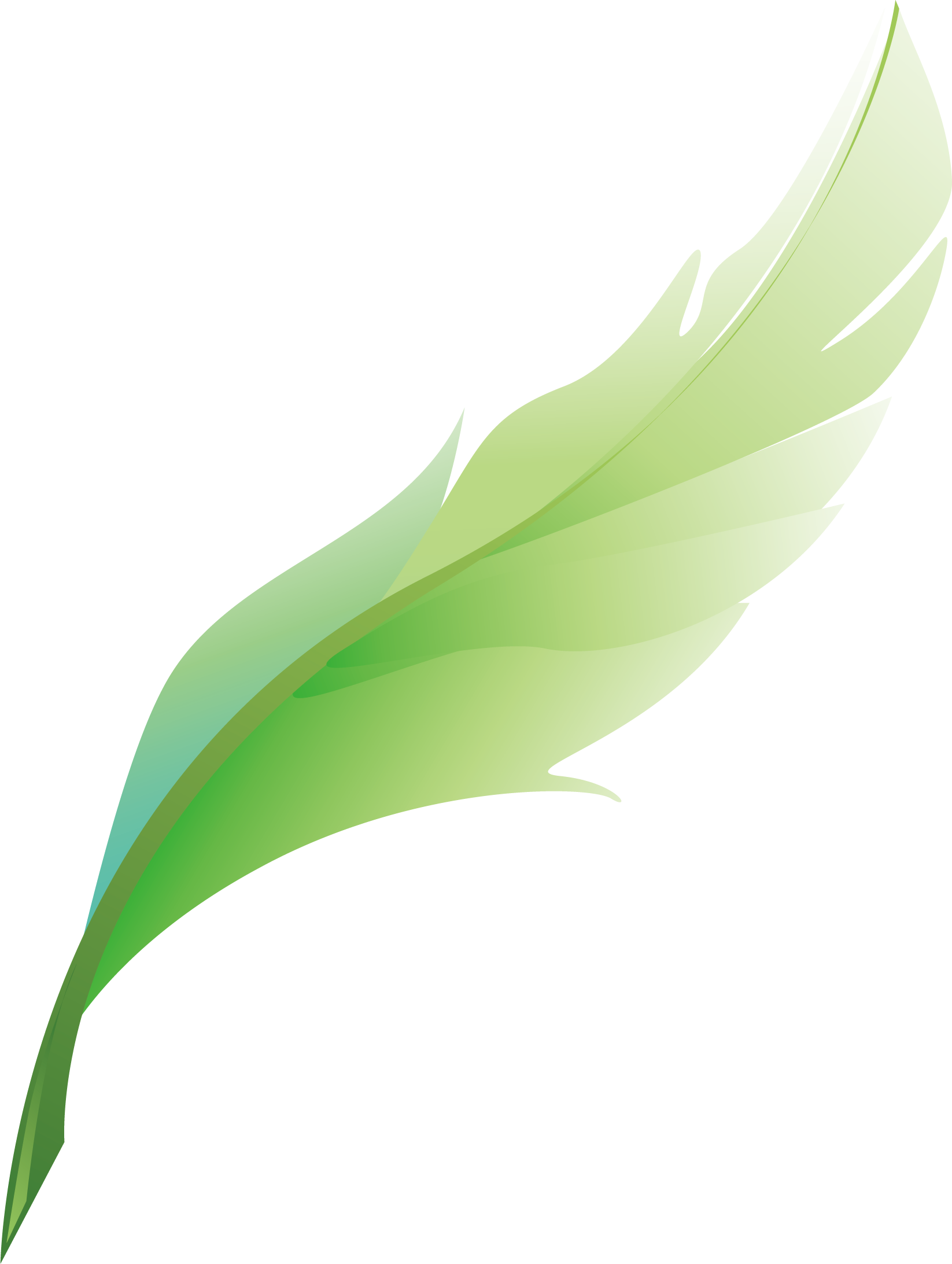 Feather Png Vector Element - Feather Png Vector (1646x2185)