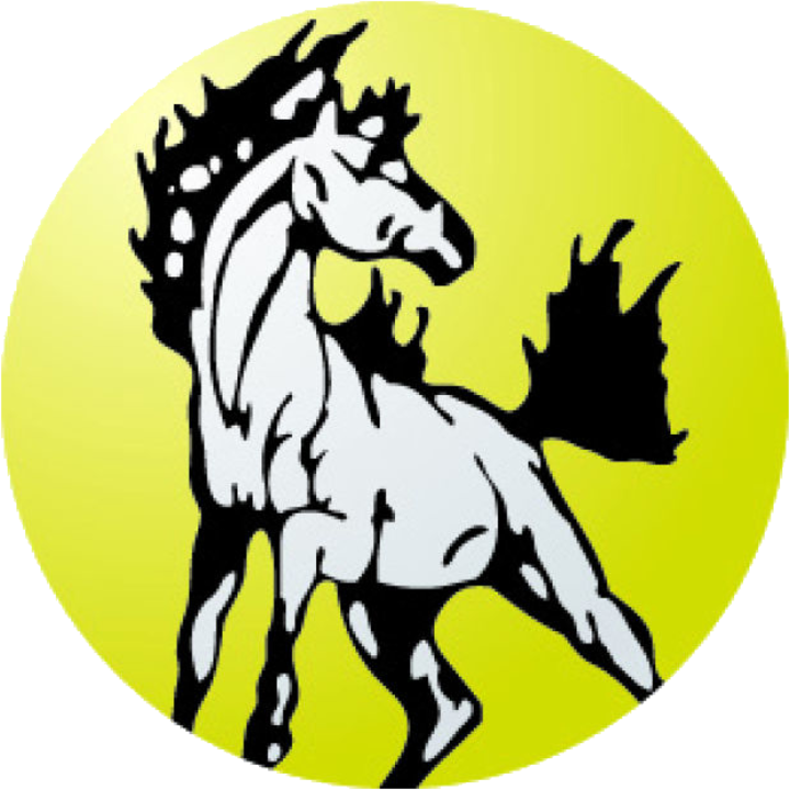 Kouts Mustangs - Stallion (720x720)
