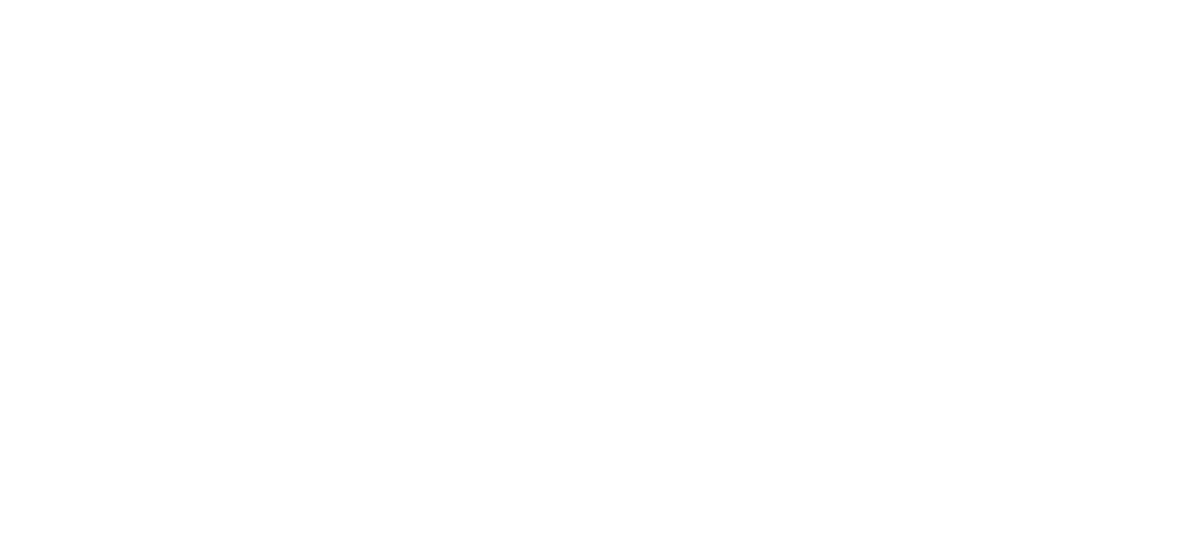 Wajer 55 S - Number 55 (1100x500)
